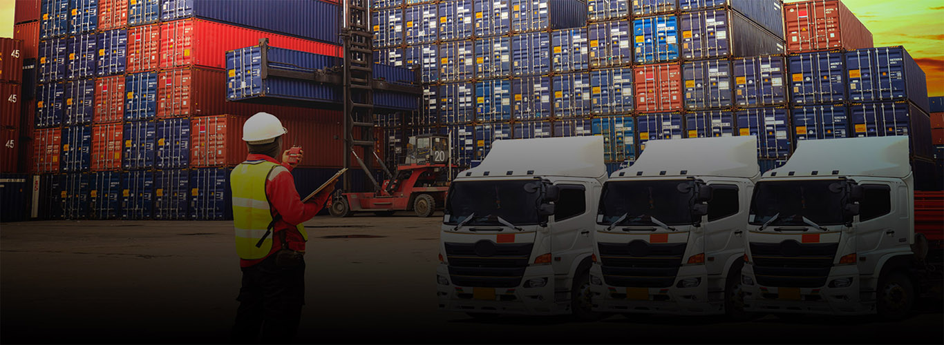 Amex Logistics
